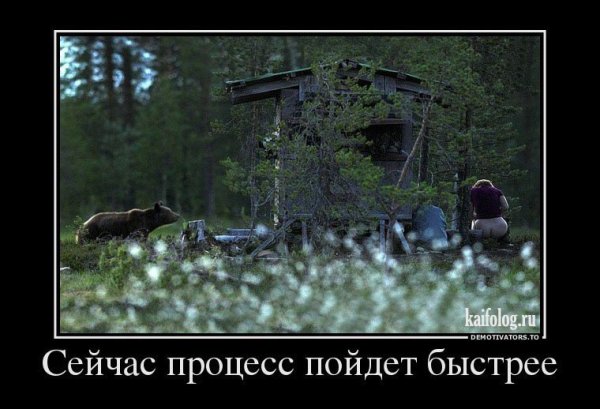 Свежие приколы