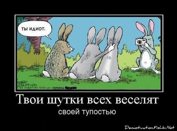 Девушки и авто демотиватор