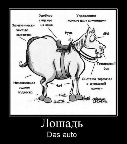 Мужчина и женщина юмор