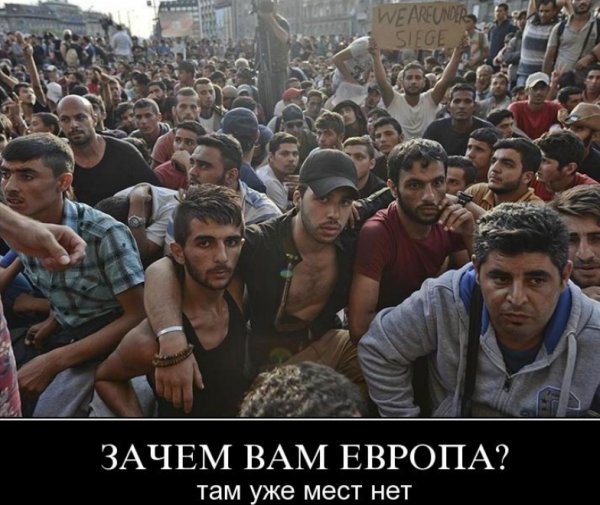 Беженцы демотиватор
