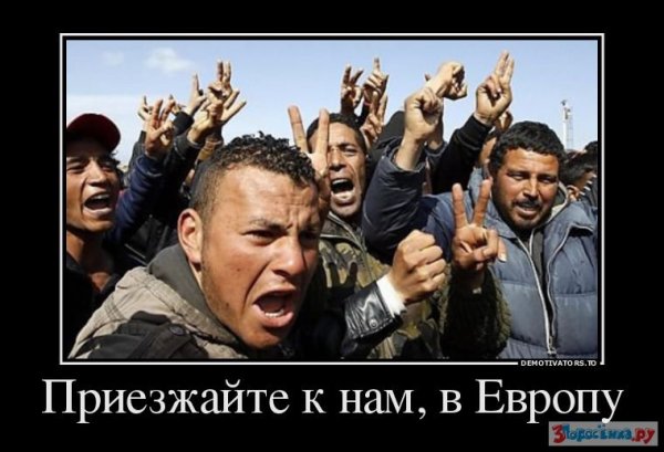 Мигранты в Европе демотиваторы