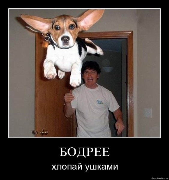 Очень смешные демотиваторы