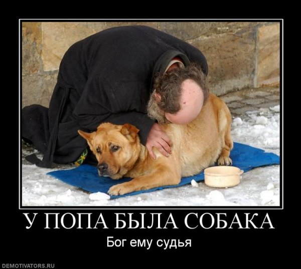 Собака демотиватор