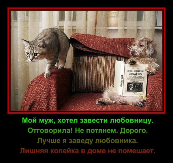 Демотиваторы lyubovnica