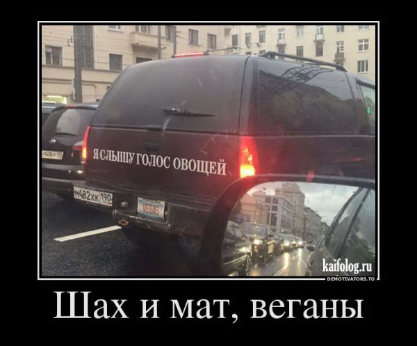 Смешные демотиваторы до слез