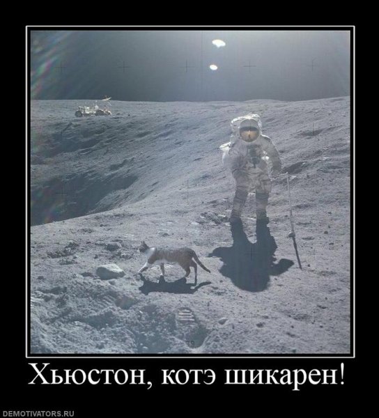Американцы на Луне демотиватор