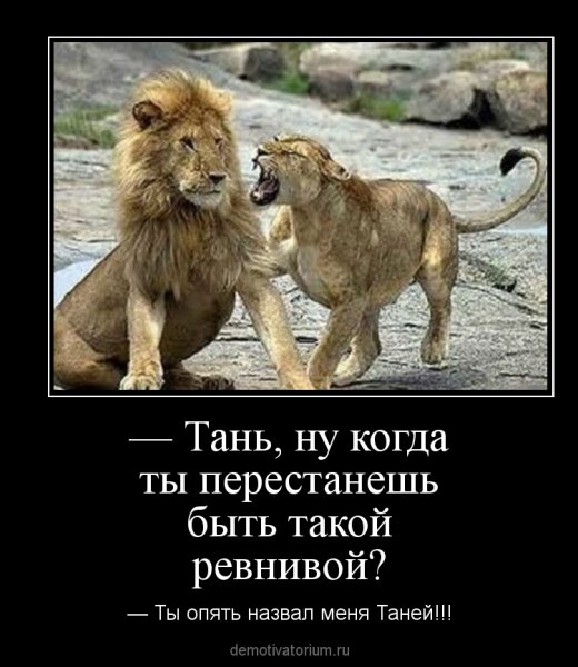 Шутки про Львов