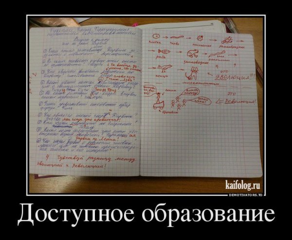 Шутки про образование