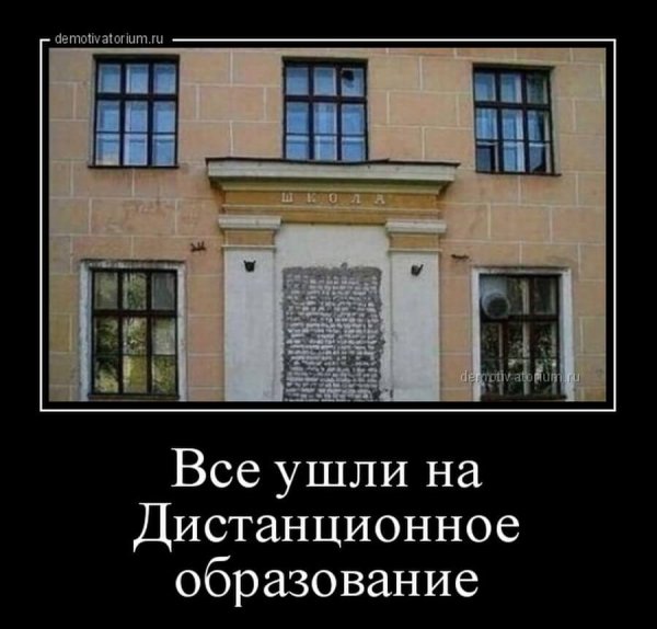Дистанционное обучение демотиваторы