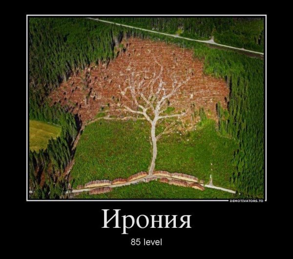 Шутки про лес