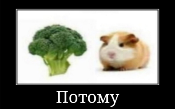Пожалуйста демотиватор
