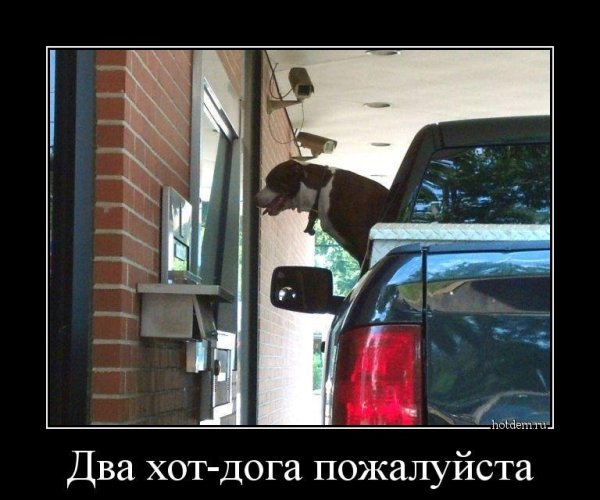 Демотиваторы про интернет