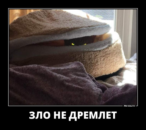 Демотиваторы про море