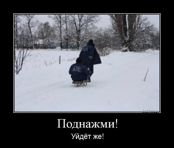 Картинки прикольные демотиваторы