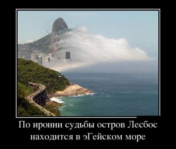 Среда демотиваторы