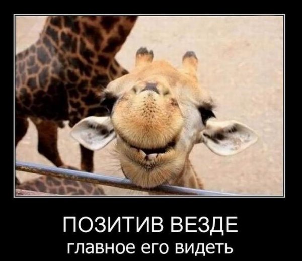 Позитивные демотиваторы для поднятия настроения