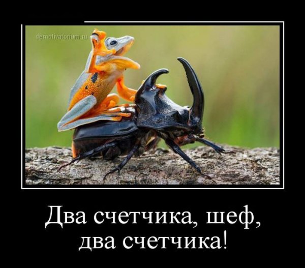 Весёлые картинки демотиваторы