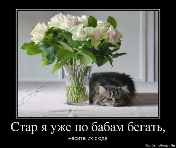 Цветы юмор