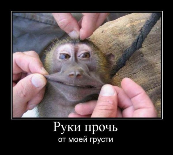 Весёлые демотиваторы для поднятия настроения