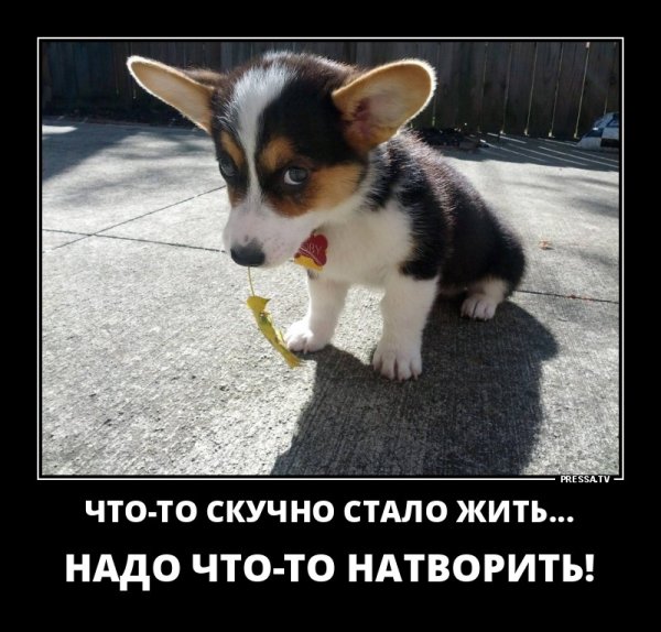 Демотиваторы ироничные