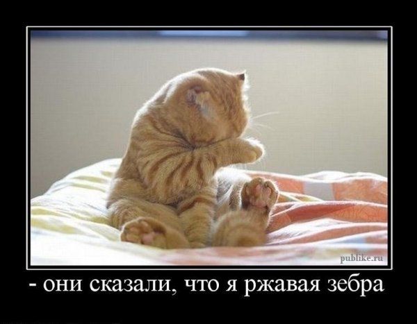 Милые демотиваторы