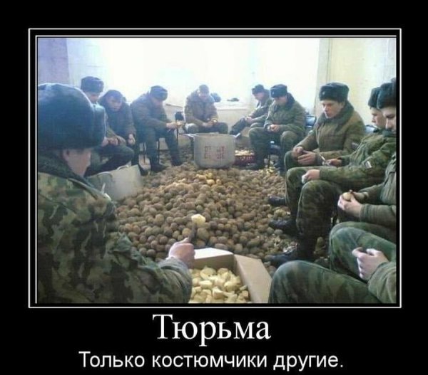 Шутки про армию