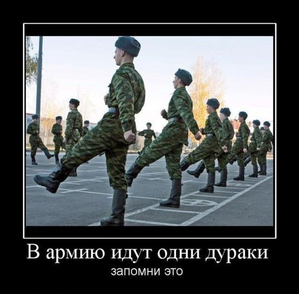 Армия приколы