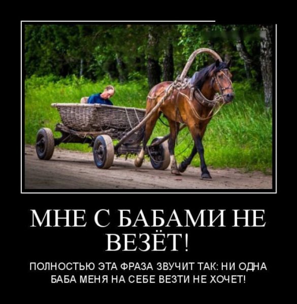 Демотиваторы приколы