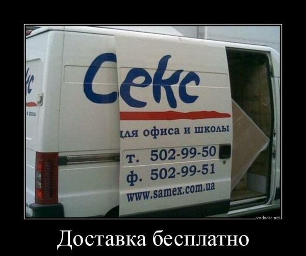 Котики демотиваторы