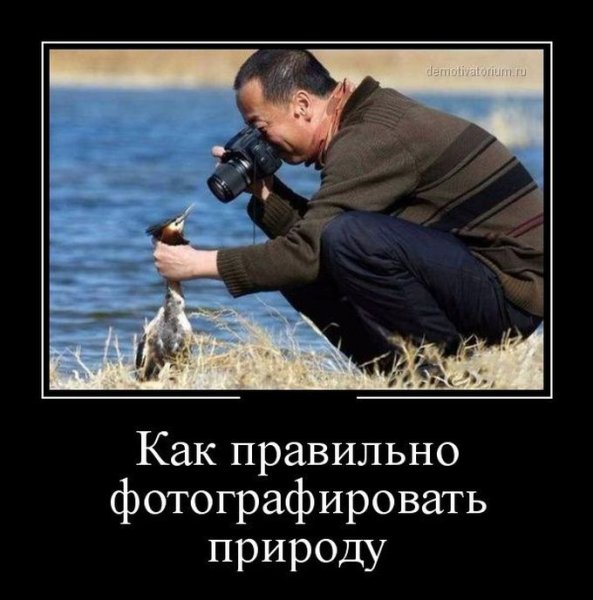 Демотиваторы свежие