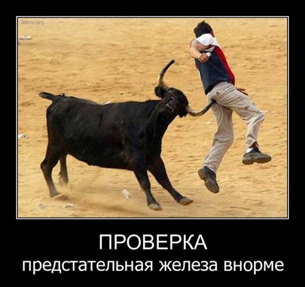 Демотиваторы наводнение
