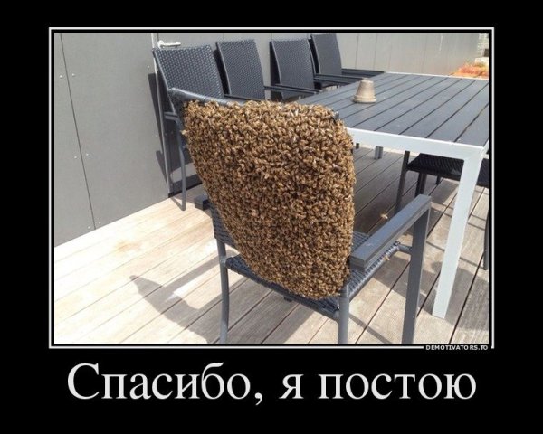 Самые смешные демотиваторы