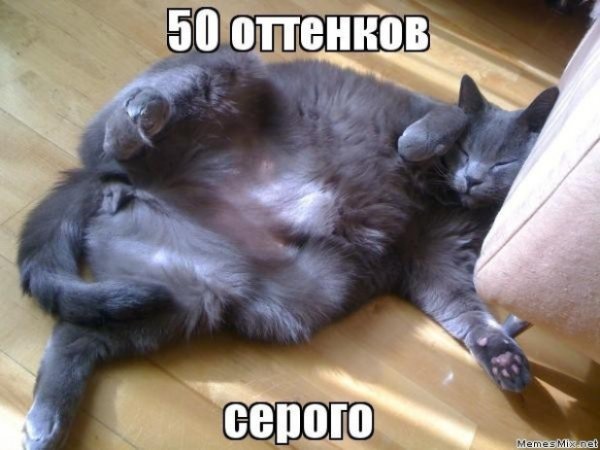 50 Оттенков прикол
