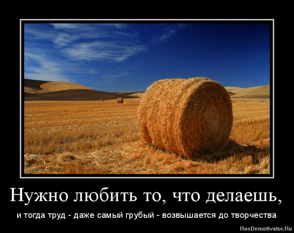 Мотиватор и демотиватор