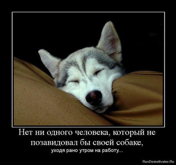 Кто рано встаёт тому