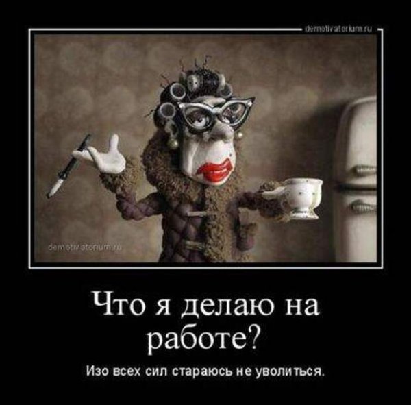 Приколы про работу