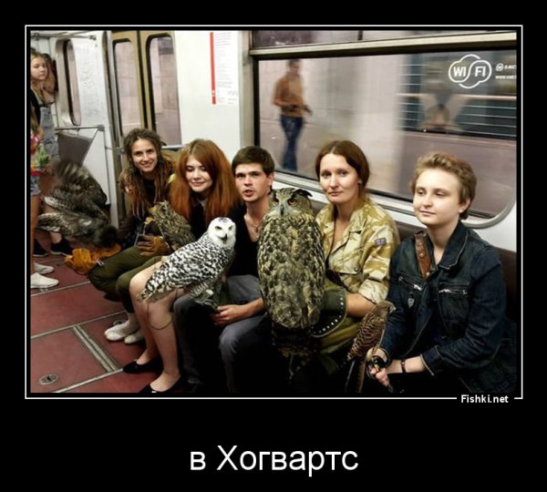 Гарри Поттер юмор