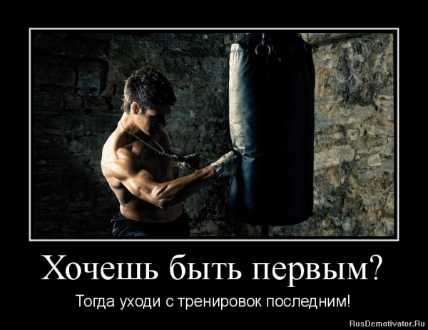 Демотиваторы про единоборства