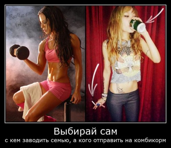 Фитнес демотиваторы для девушек