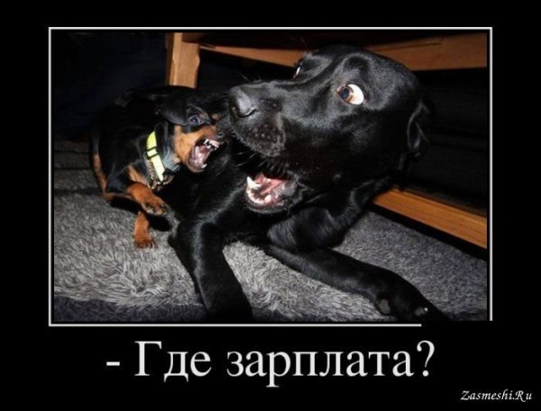 Демотиваторы про зарплату