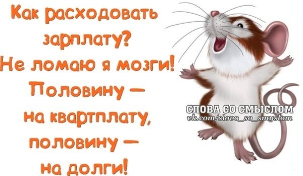 Высказывания про зарплату прикольные