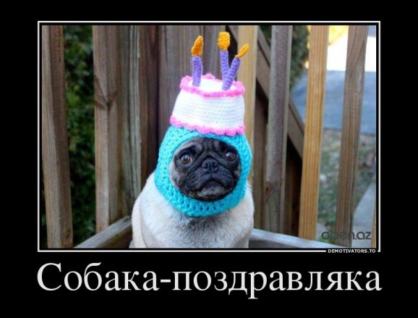 Демотеваторыс днем рождения