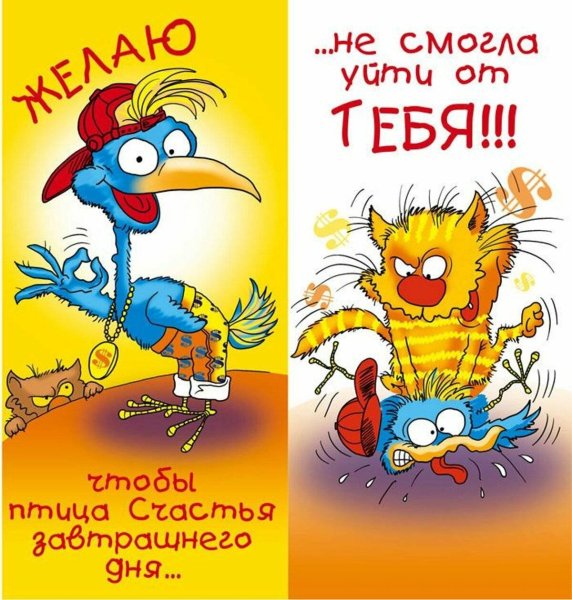 С днем рождения демотиватор