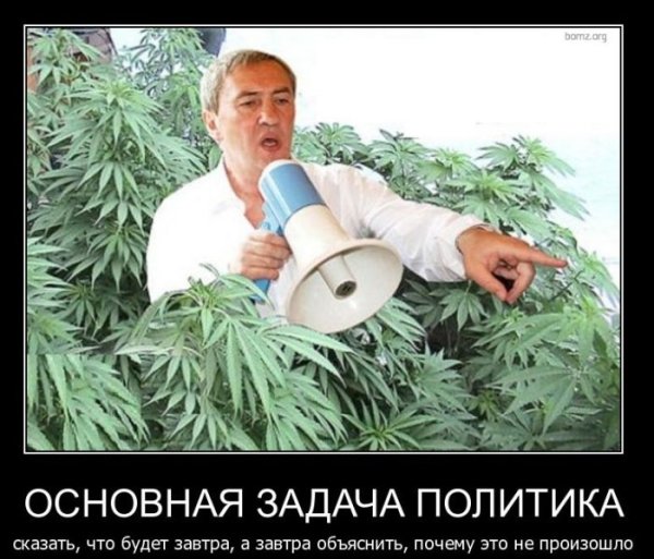 Смешные картинки о политике