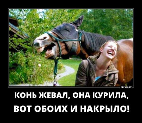 Угарные демотиваторы