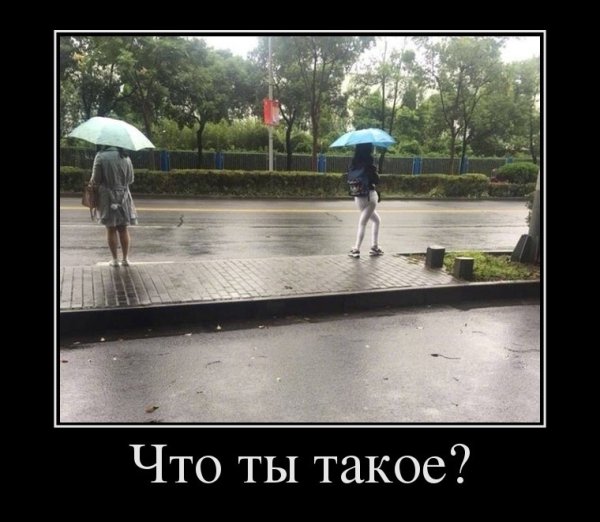 Демотиваторы приколы