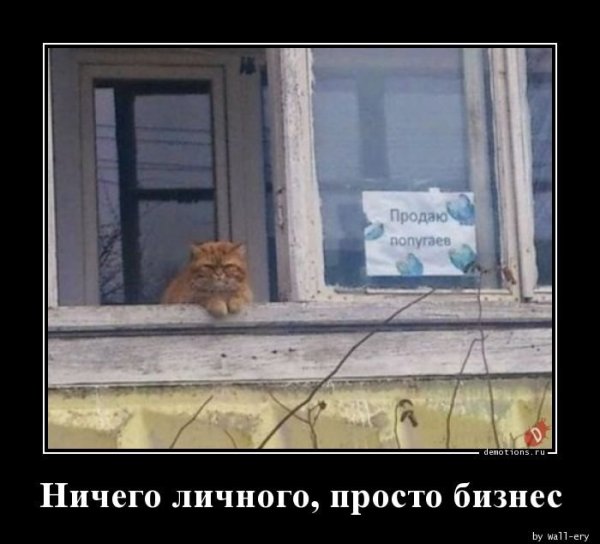 Смешные демотиваторы до слез
