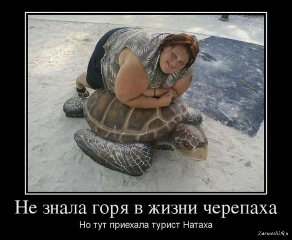 Прикольные демотиваторы