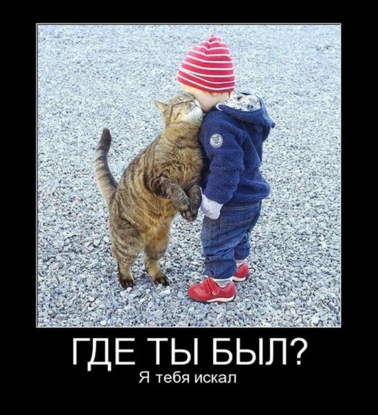 Демотиваторы смешные
