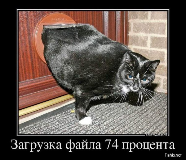 Демотиваторы шутки приколы анекдоты